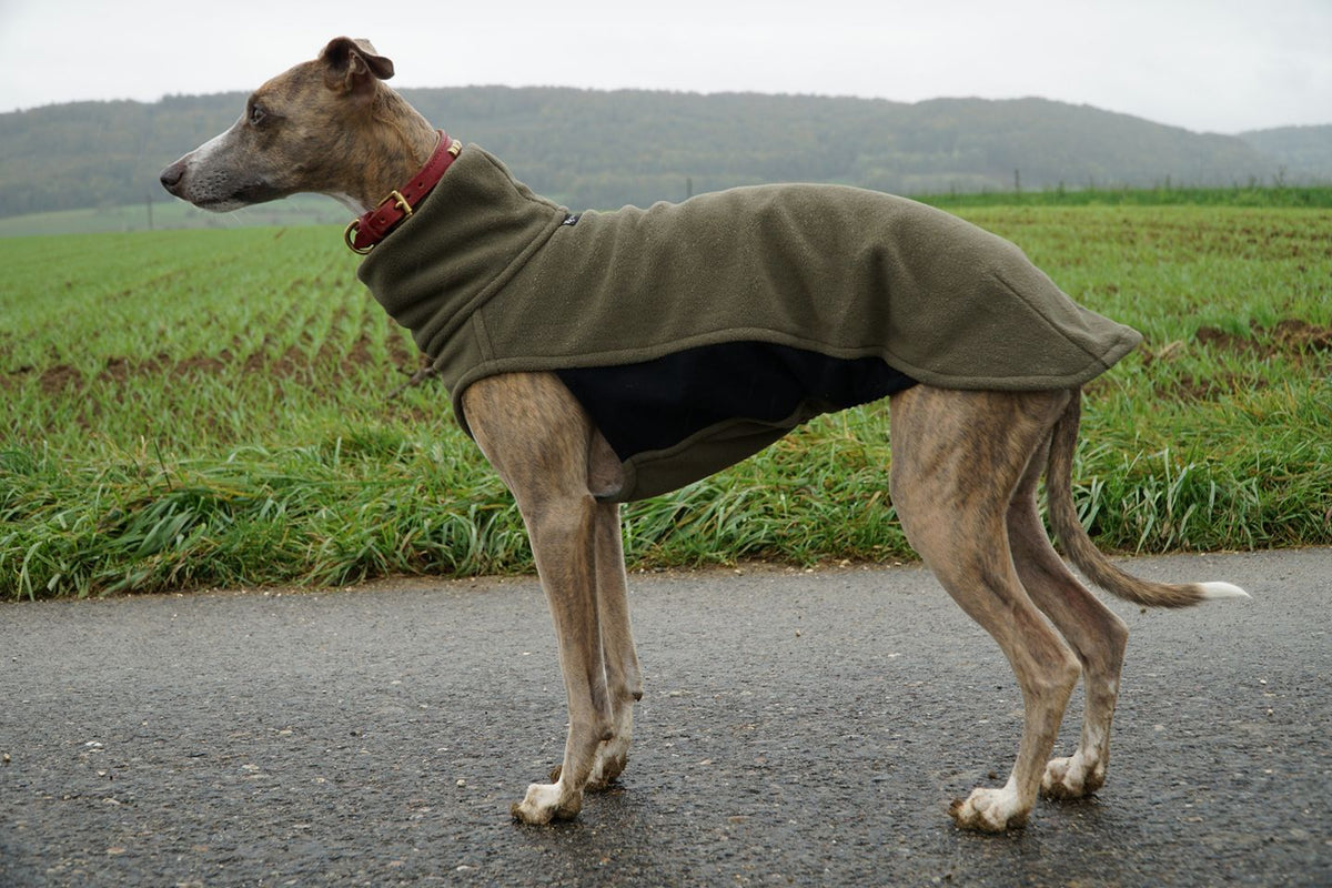 fleece khaki