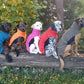 fleece