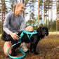 Freemotion 5.0 (standard + special colors) - Nonstop Dogwear