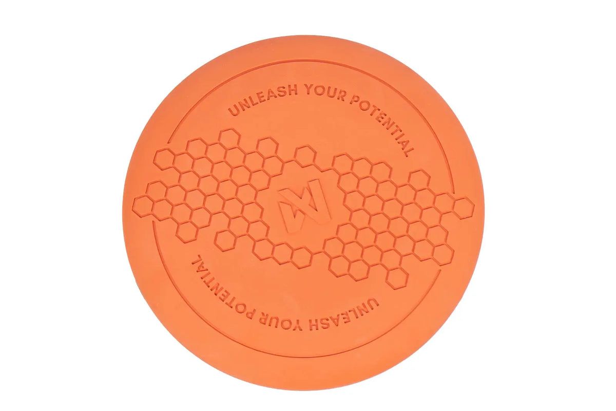 Frisbee / Flying Disc - Nonstop Dogwear 