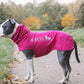 Gippy Softshell - Sofadogwear