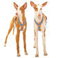 Y-harness greyhound (medium to large breeds) - Sofadogwear
