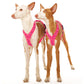 Y-harness greyhound (medium to large breeds) - Sofadogwear