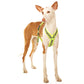 Y-harness greyhound (medium to large breeds) - Sofadogwear
