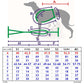 Y-harness greyhound (medium to large breeds) - Sofadogwear