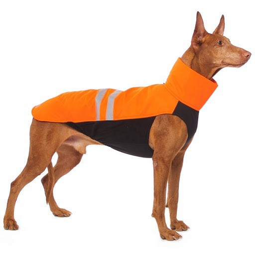 hachico neon 1 (neonorange)