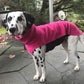 Hachico Home (Fleece Shirt) - Sofadogwear
