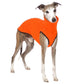 Hachico Jumper 02 - Sofadogwear | S1