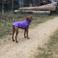 Hachico Jumper 02 - Sofadogwear | S1