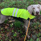 Hachico Neon Vol. 2 - Sofadogwear