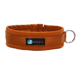 Collar Fun (standard) - Annyx