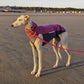 Outdoor Top Extreme (Jumper) - DG Doggear 