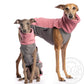 Outdoor Top Extreme (Jumper) - DG Doggear 