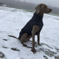Hachico Jumper 02 - Sofadogwear | M1