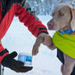 image_002