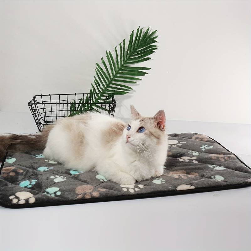 Incontinence mat