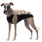 Softshell Top Jumper - DG Doggear 