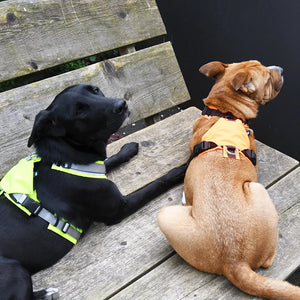 Cover / identification blanket for search dog harness - Annyx