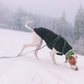 Kevin Jumper Vol. 2 - Sofadogwear | XS1