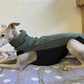 Fleece Top - DG Doggear