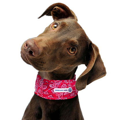 Kühl Bandana "Aqua Coolkeeper"