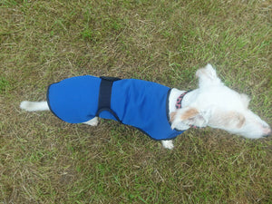 Cooling vest - Swisspet