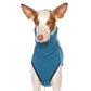 Hachico K-Jumper - Sofadogwear | S3/M1