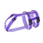 Safety harness "Safety" NORMAL sizes - Annyx