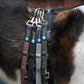 Leash Easy Fun - Annyx