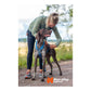 Line Harness 5.0 (Standard + Rachel Pohl) - Nonstop Dogwear