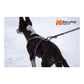 Line Harness 5.0 (Standard + Rachel Pohl) - Nonstop Dogwear