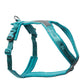 Line Harness 5.0 (Standard + Rachel Pohl) - Nonstop Dogwear