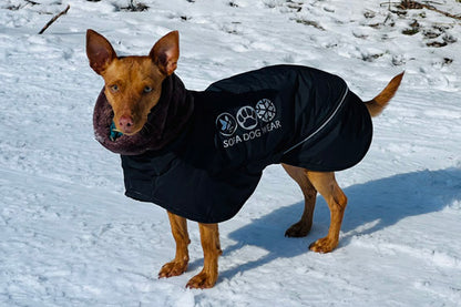 Manuel Extreme - Sofadogwear