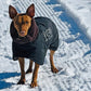 Manuel Extreme - Sofadogwear