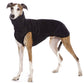 Hachico K-Jumper - Sofadogwear | S3/M1
