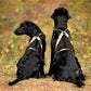 Multisport Zuggeschirr (Normalversion und Langversion) - VIP Dogwear