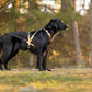 Multisport Zuggeschirr (Normalversion und Langversion) - VIP Dogwear