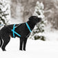 Multisport Zuggeschirr (Normalversion und Langversion) - VIP Dogwear