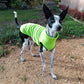 Hachico Jumper 02 - Sofadogwear | XS1