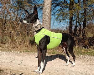Safety-Reflector Cotton Shirt / Top - DG Doggear 