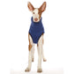Hachico K-Jumper - Sofadogwear | S3/M1