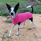Hachico Jumper 02 - Sofadogwear | XS1