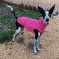 Hachico Jumper 02 - Sofadogwear | S2