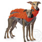 Outdoor Top Extreme (Jumper) - DG Doggear 