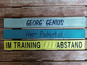 Personalizable Velcro fasteners for collars 