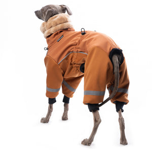 Ninja Fluffy (Softshell Overall) - DG Doggear 