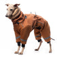 Ninja Fluffy (Softshell Overall) - DG Doggear 