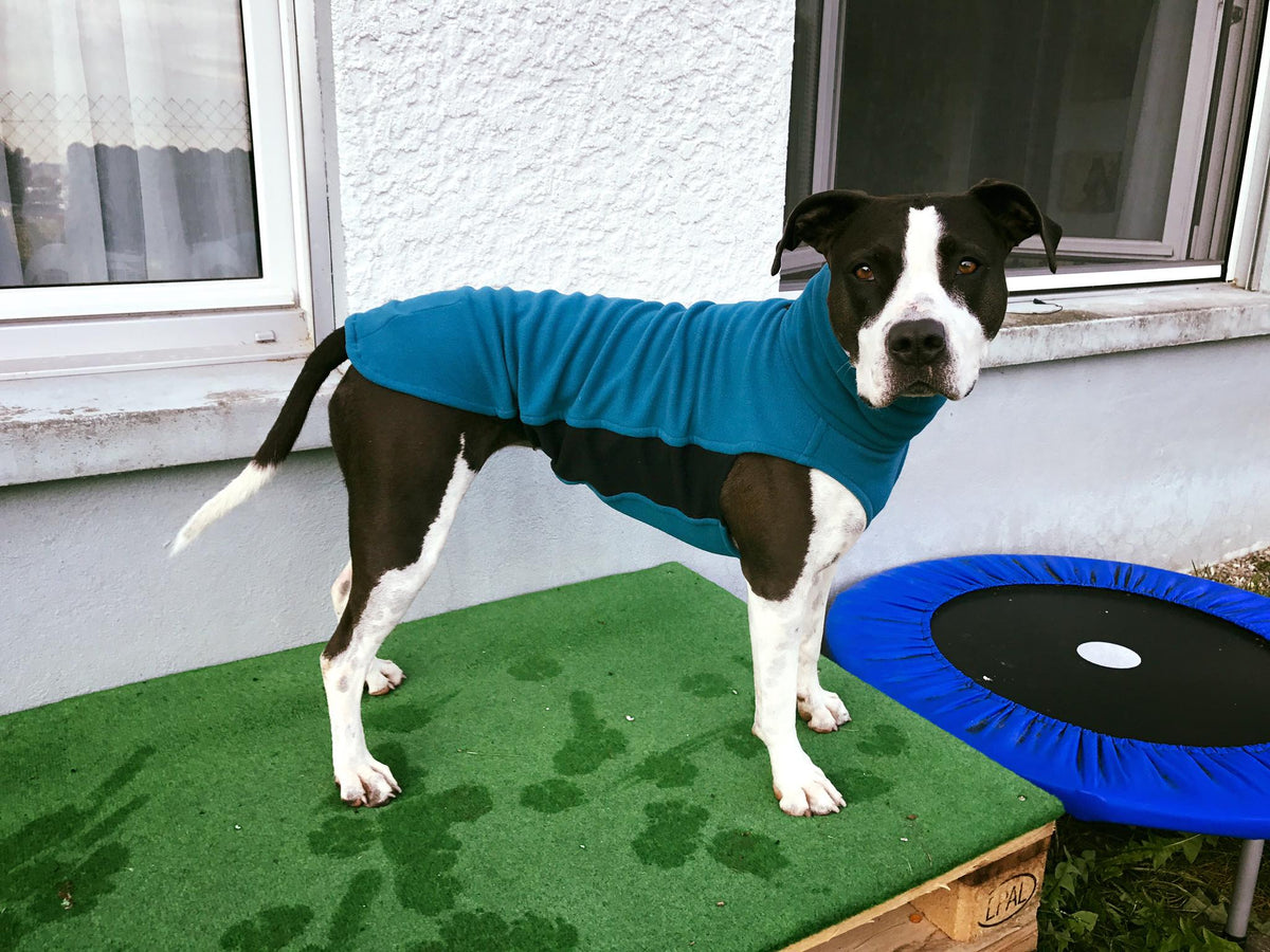 petrol fleece