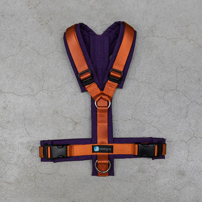Harnais torse Fun (coloris standards et spéciaux) - Annyx