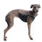 Pique Baumwoll Shirt / Top - DG Doggear